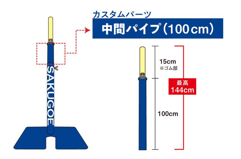 ハング HANG SAKUGOE ver.XII PUT式置きティースタンド バッティング